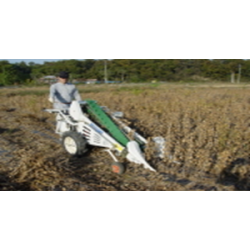 3 -BIGDEL BH-710 FASÜLYE HASAT MAKİNESİ